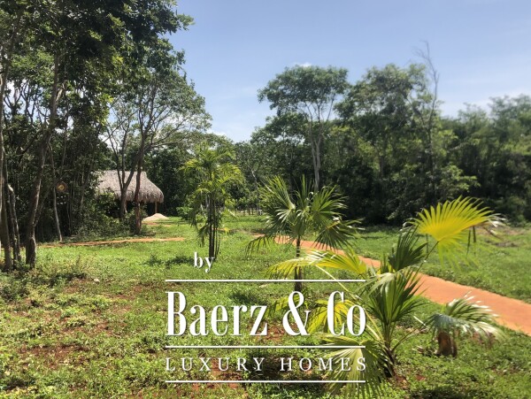 photo 14 A Private Yucatán Estate - villa, tower suite, guest casita, medicinal garden, orchard and more