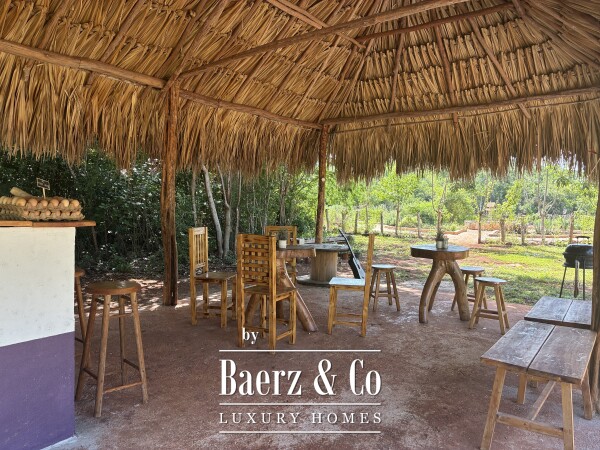 photo 16 A Private Yucatán Estate - villa, tower suite, guest casita, medicinal garden, orchard and more
